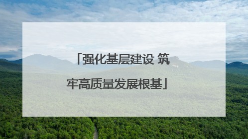 强化基层建设 筑牢高质量发展根基