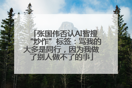 张国伟否认AI智搜“炒作”标签：骂我的大多是同行，因为我做了别人做不了的事