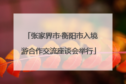 张家界市·衡阳市入境游合作交流座谈会举行