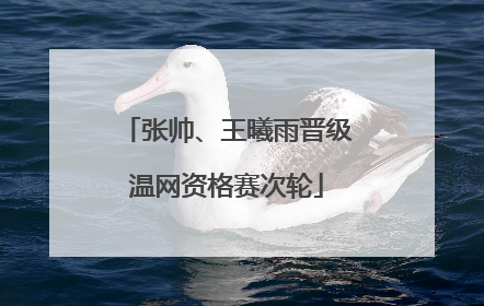 张帅、王曦雨晋级温网资格赛次轮