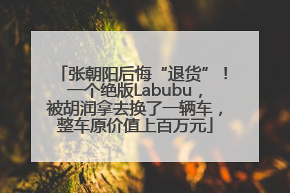 张朝阳后悔“退货”！一个绝版Labubu，被胡润拿去换了一辆车，整车原价值上百万元