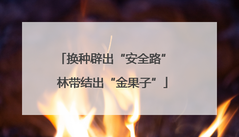 换种辟出“安全路” 林带结出“金果子”