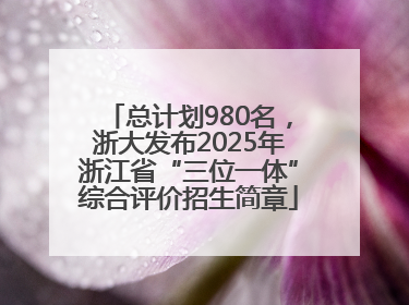 总计划980名，浙大发布2025年浙江省“三位一体”综合评价招生简章