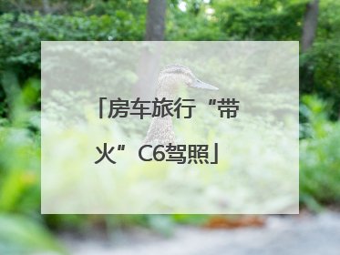 房车旅行“带火”C6驾照