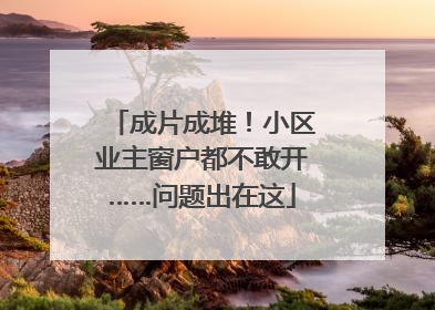 成片成堆！小区业主窗户都不敢开……问题出在这