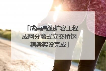 成南高速扩容工程成阿分离式立交桥钢箱梁架设完成
