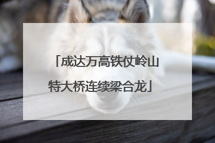 成达万高铁仗岭山特大桥连续梁合龙