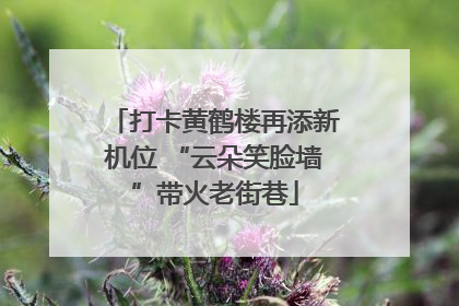 打卡黄鹤楼再添新机位 “云朵笑脸墙”带火老街巷
