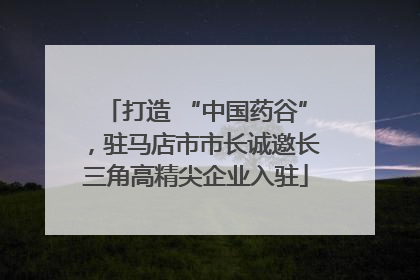 打造 “中国药谷”，驻马店市市长诚邀长三角高精尖企业入驻