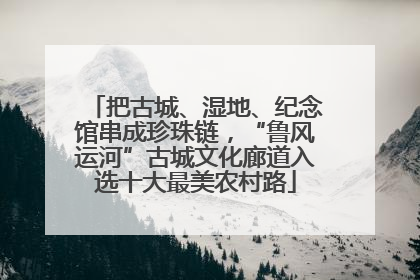 把古城、湿地、纪念馆串成珍珠链，“鲁风运河”古城文化廊道入选十大最美农村路