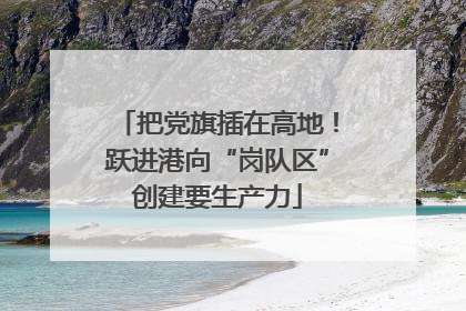 把党旗插在高地！跃进港向“岗队区”创建要生产力
