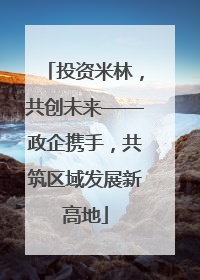 投资米林，共创未来——政企携手，共筑区域发展新高地