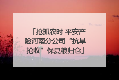 抢抓农时 平安产险河南分公司“抗旱抢收”保夏粮归仓