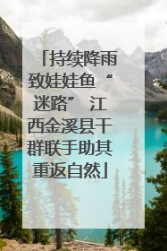 持续降雨致娃娃鱼“迷路” 江西金溪县干群联手助其重返自然