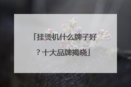挂烫机什么牌子好？十大品牌揭晓