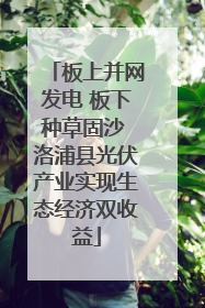 板上并网发电 板下种草固沙 洛浦县光伏产业实现生态经济双收益