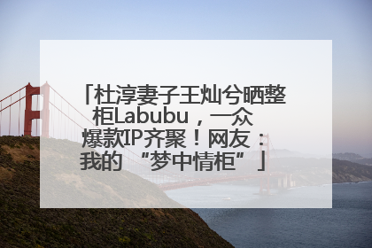 杜淳妻子王灿兮晒整柜Labubu，一众爆款IP齐聚！网友：我的 “梦中情柜”