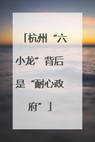 杭州“六小龙”背后是“耐心政府”