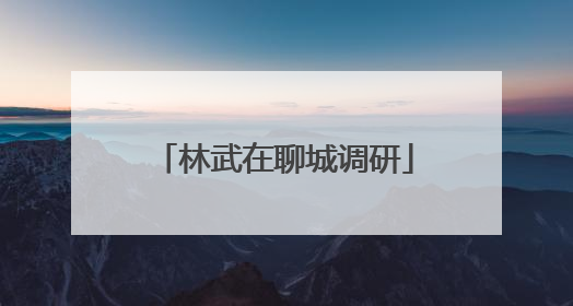 林武在聊城调研