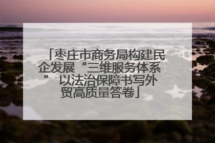 枣庄市商务局构建民企发展“三维服务体系” 以法治保障书写外贸高质量答卷