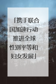 携手联合国加速行动 推进全球性别平等和妇女发展