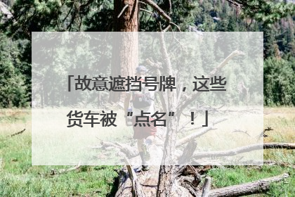故意遮挡号牌，这些货车被“点名”！
