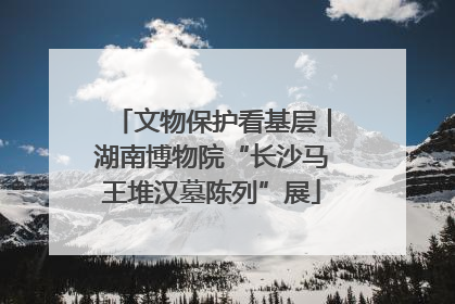 文物保护看基层｜湖南博物院“长沙马王堆汉墓陈列”展