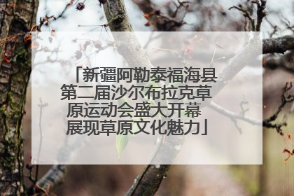 新疆阿勒泰福海县第二届沙尔布拉克草原运动会盛大开幕 展现草原文化魅力