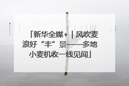 新华全媒+｜风吹麦浪好“丰”景——多地小麦机收一线见闻