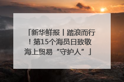 新华鲜报丨踏浪而行！第15个海员日致敬海上贸易“守护人”