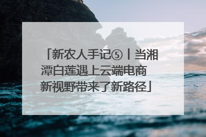 新农人手记⑤丨当湘潭白莲遇上云端电商 新视野带来了新路径