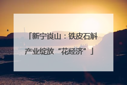 新宁崀山：铁皮石斛产业绽放“花经济”