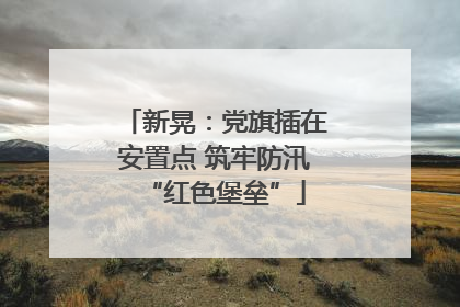 新晃：党旗插在安置点 筑牢防汛“红色堡垒”