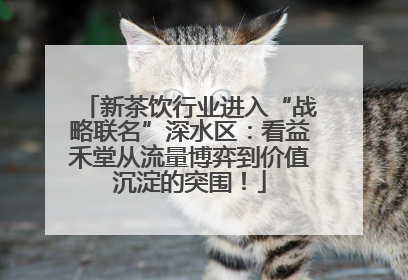 新茶饮行业进入“战略联名”深水区：看益禾堂从流量博弈到价值沉淀的突围！