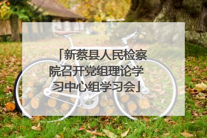 新蔡县人民检察院召开党组理论学习中心组学习会