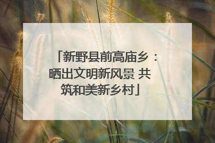 新野县前高庙乡：晒出文明新风景 共筑和美新乡村