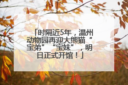 时隔近5年，温州动物园再迎大熊猫“宝弟”“宝妹”，明日正式开馆！