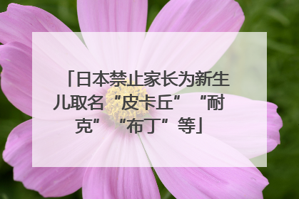 日本禁止家长为新生儿取名“皮卡丘”“耐克”“布丁”等