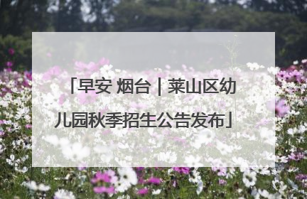 早安 烟台｜莱山区幼儿园秋季招生公告发布