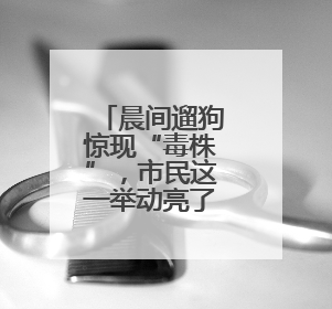 晨间遛狗惊现“毒株”，市民这一举动亮了！