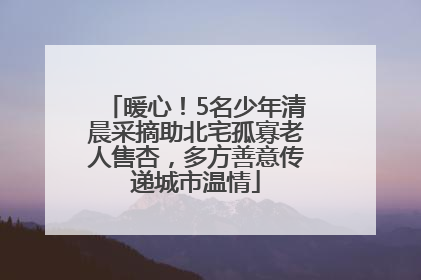 暖心！5名少年清晨采摘助北宅孤寡老人售杏，多方善意传递城市温情