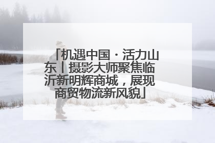 机遇中国・活力山东丨摄影大师聚焦临沂新明辉商城，展现商贸物流新风貌