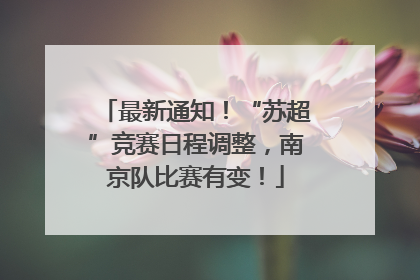 最新通知！“苏超”竞赛日程调整，南京队比赛有变！