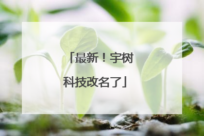 最新！宇树科技改名了