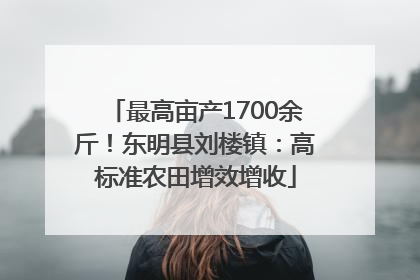 最高亩产1700余斤！东明县刘楼镇：高标准农田增效增收