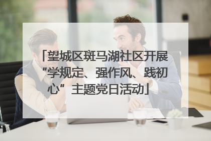 望城区斑马湖社区开展“学规定、强作风、践初心”主题党日活动