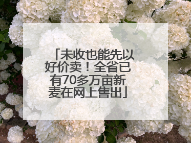 未收也能先以好价卖！全省已有70多万亩新麦在网上售出