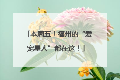 本周五！福州的“爱宠星人”都在这！