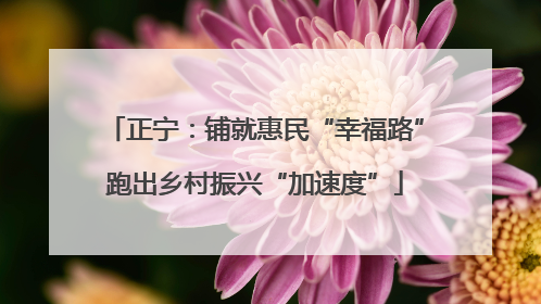 正宁：铺就惠民“幸福路”跑出乡村振兴“加速度”