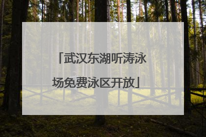 武汉东湖听涛泳场免费泳区开放